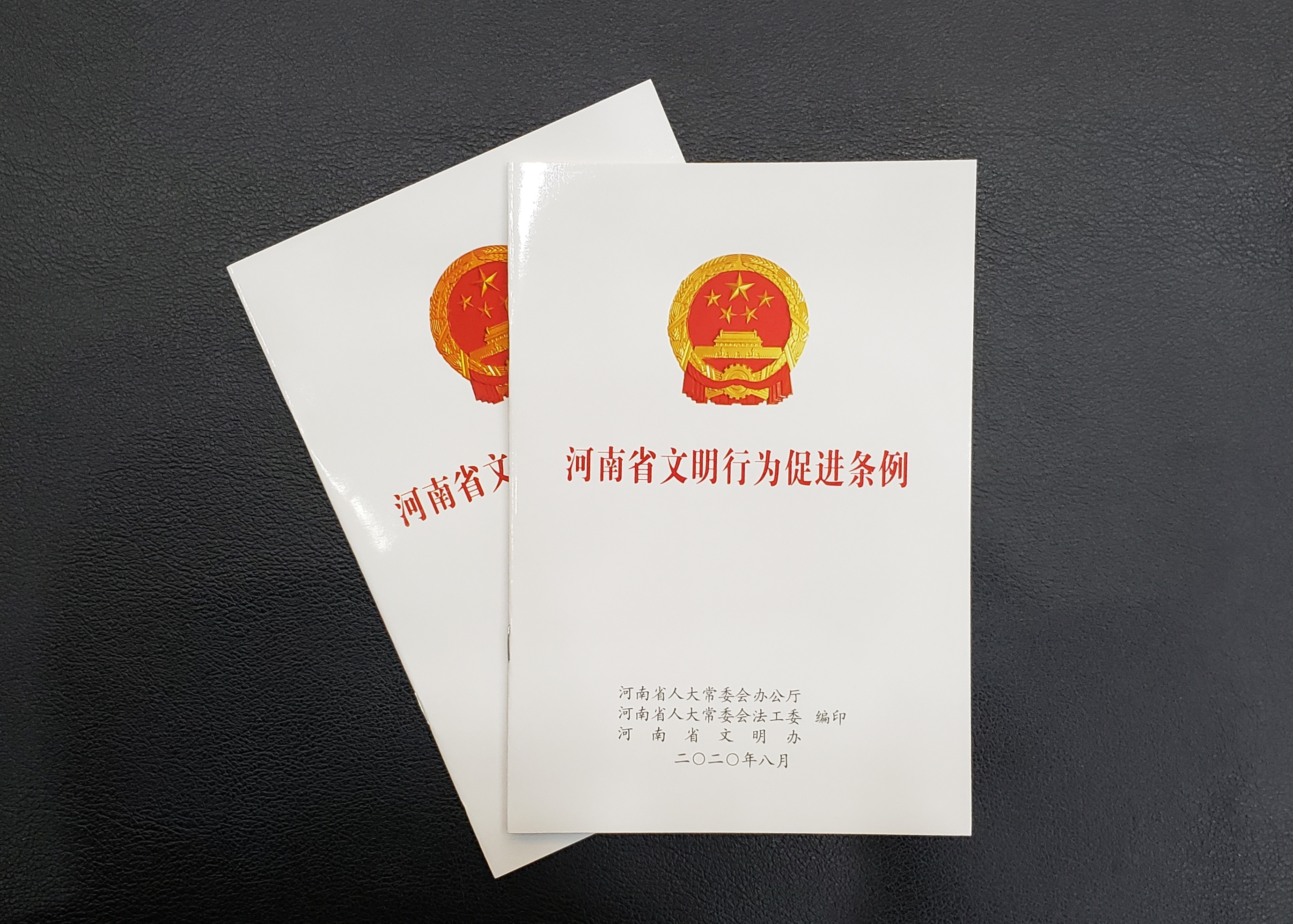 《河南省文明行为促进条例》来了！哪些内容是针对公民行为制定的？